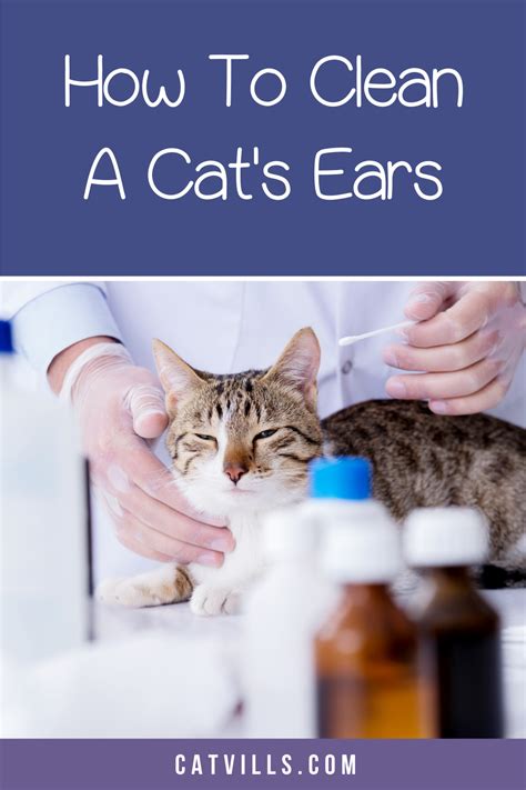 clean cats ears  wipes