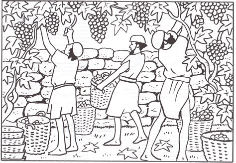 workers   vineyard christian coloring pages nt pinterest