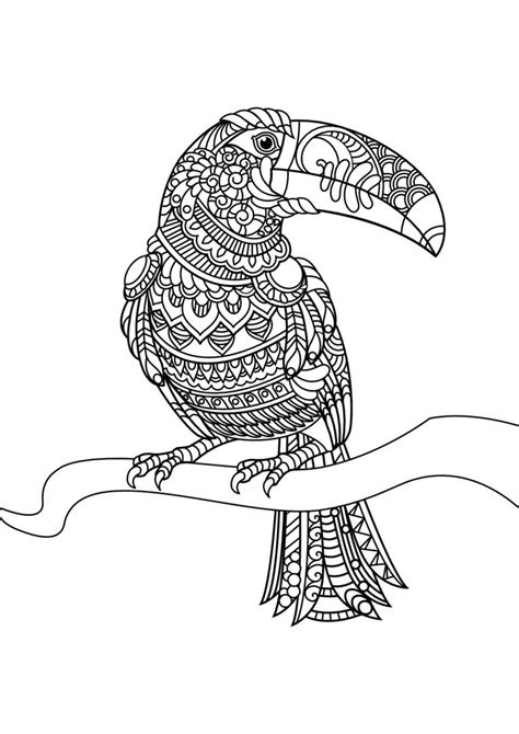 toucan coloring pages  coloring pages  kids