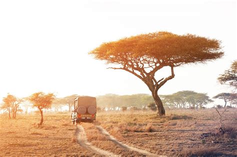 serengeti national park tanzania guida ai luoghi da visitare lonely planet