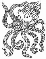 Octopus Coloring Zentangle sketch template
