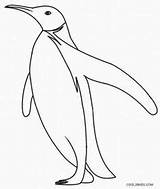 Penguins Colouring Galapagos sketch template