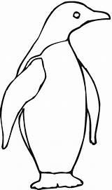 Penguin Coloring Pages Emperor Color Penguins Template Clipart Print Animals Cliparts Little Blue Cartoon Animal Printable Kids Adelie Clipartbest Library sketch template