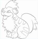 Arcanine Coloring Pokemon Growlithe Getcolorings Pages sketch template
