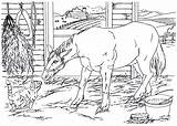 Coloring Horse Country Barn Pages Living Cat Cavalo Book sketch template