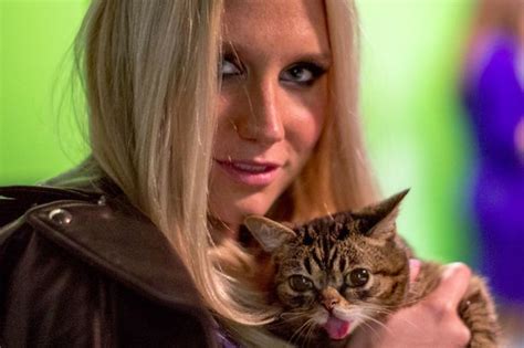 kesha s all smiles as she cuddles adorable cat amid dr
