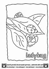 Coloring Ladybug Pages Clipart Grouchy Clip Outline Library Popular Collection Sketch sketch template