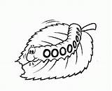 Caterpillar Coloring Printable Template Leaves Clipart Pages Popular Kids Library sketch template