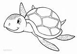 Pages Realistic Coloring Turtle Wildlife Getcolorings Printable sketch template