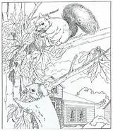 Kleurplaat Kleurplaten Squirrel Eekhoorns Ums Huis Colorear Malvorlage Eekhoorn Rondom Squirrels Ausmalen Lustige Volwassenen Brandmalerei Malbuch Erwachsene Kleurplatenenzo Waldtiere Divers sketch template