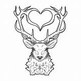 Stag Line Drawing Getdrawings sketch template