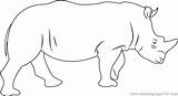 Coloring Rhino Pages Rhinoceros Coloringpages101 Mammals sketch template