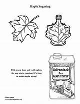 Coloring Syrup Sugaring sketch template