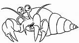 Hermit Krabbe Ausmalbilder Granchi Colorare Echte Cool2bkids sketch template