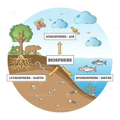 biosphere division  labeled ecosystem explanation scheme outline