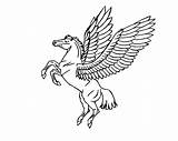 Pegasus Unicornio Chevaux Volants Pge Voladores Caballos sketch template