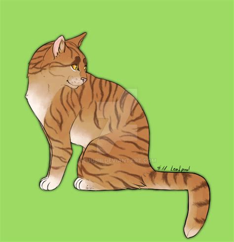 leafpool  ljubiii  deviantart