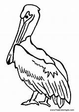 Pelican Template sketch template