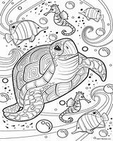 Quiver Ausmalbilder Mandalas Imprimer Mindfulness Animaux Sealife Quivervision Scentos Divyajanani Animales Aquatic Malvorlagen Tortue Colorir Desenhos Turtle Umwandeln Adultes Adulte sketch template