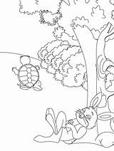 Coloring Pages Tortoise Hare Fables Kids Color Printable Animals Bear Sheet Print Rabbit Story Colouring Drawing Gif Sheets Children Kindergarten sketch template