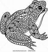 Frog Coloring Pages Zentangle Mandala Mandalas Doodle Illustration Adult Hand Frosch Drawn Ornamental Books Frogs Para Ornaments Stock Google Printable sketch template