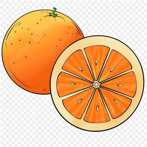 orange fruit clipart transparent png hd yellow orange orange clipart