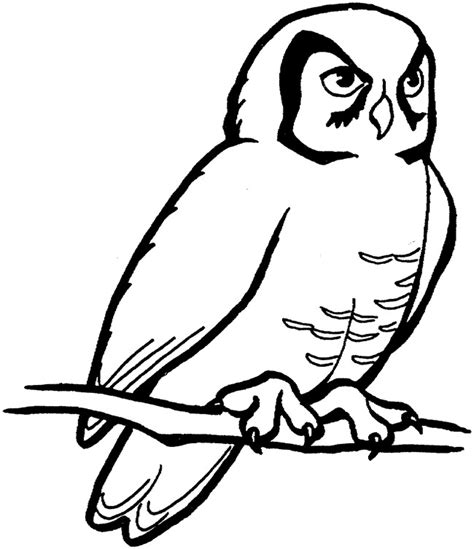owl outline clipart