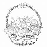 Wicker Ornate Harvest sketch template