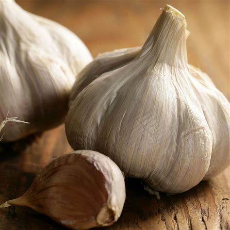 garlic bulb farmers fayre
