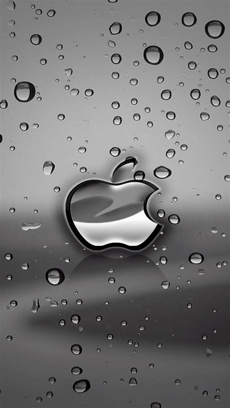 iphone 5 and ipod touch 5 wallpapers free download apple logo iphone 5 hd wallpapers free hd