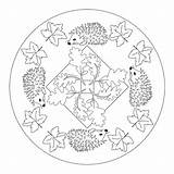 Herbst Coloring Mandalas Igel Ausmalbild Automne Ausdrucken Herfst Egeltjes Colorin Preschoolactivities Malvorlagen Hedgehog Ausmalvorlagen Reif Ferien Mandale Schule Erwachsene Sparad sketch template