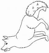 Loup Lupi Colorat Animale Planse Desene P18 P19 Dibujo Animaux Primiiani Dessins Enfant Vizite Voturi Loups Lobos Desen Lilbitty sketch template