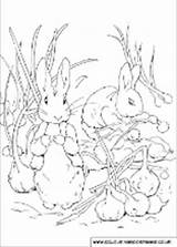 Beatrix Potter Coloring Book Pages Template sketch template