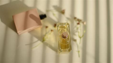 How To Choose The Right Perfume 5 Essential Tips T3
