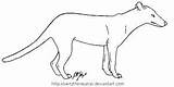 Thylacine Lineart Outlines Animals sketch template