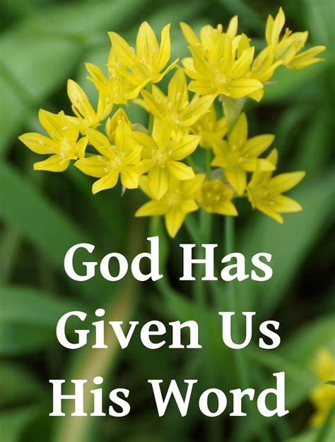 faithfully flourishing god has given us his word