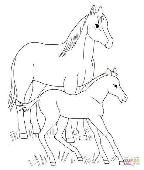 horse  foal coloring page  horses category select