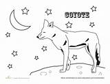 Coloring Joshua Tree National Park Coyote Animals Worksheet Designlooter 270px 54kb Choose Board Sheets Worksheets sketch template