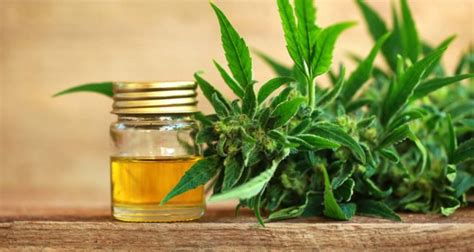 your complete guide to cbd oil cbd benefits and uses