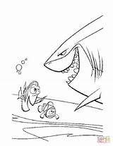 Nemo Shark Squalo Findet Tiburon Bruto Hai Dory Buscando Malvorlagen Marlin Tiburones Nigel Printables sketch template