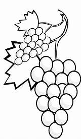 Coloring Grapes Fruits Pages Clipart Vegetables Popular Library sketch template