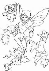 Ausmalbild Kleurplaten Kleurplaat Elfjes Elfe Elfen Kerst Engelen Feeen Engel Elven Hadas Elfje Malvorlagen Beowulf Ausdrucken Phantasie 1001 Malvorlage Uitprinten sketch template