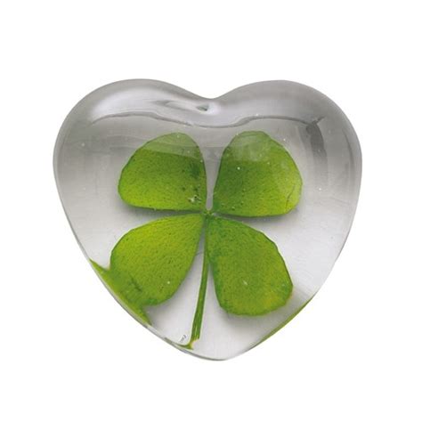 klaver vier hartje van een echt klaverblad  een hartenglaasje voor veel geluk