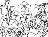 Ausmalbilder Fruhling Frühling Fruehling Malen Schmetterling Malbild sketch template