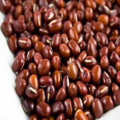 red gram seeds packaging size depends rs  kilogram ajinkya seeds pvt  id