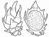 Durian Coloring Pages Fruits Kids sketch template