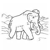 Mammoth Volga Gaz Wooly I2clipart sketch template
