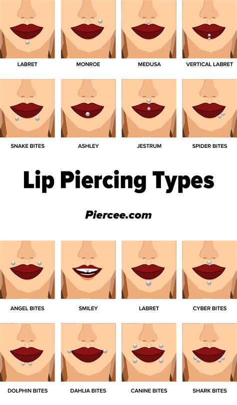 Lip Ring Piercing Cheapest Prices Save 56 Jlcatj Gob Mx