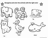 Coloring Animals Pages Print Kids Printable Freekidscoloringpage sketch template