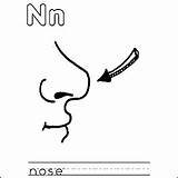 Nose sketch template